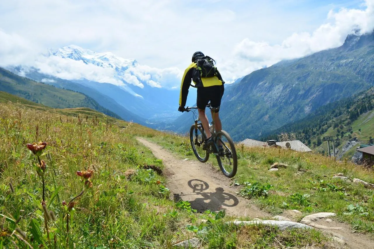 Chamonix Sud - Chamois Blanc 110 - Happy Rentals Διαμέρισμα